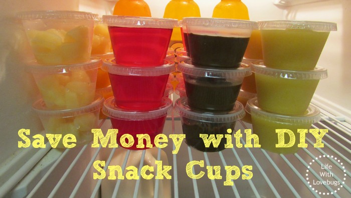 http://www.lifewithlovebugs.com/wp-content/uploads/2013/09/Save-Money-with-DIY-Snack-Cups.jpg