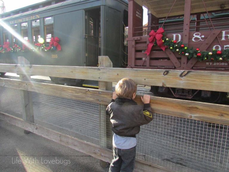 Knotts Berry Farm - Christmas 