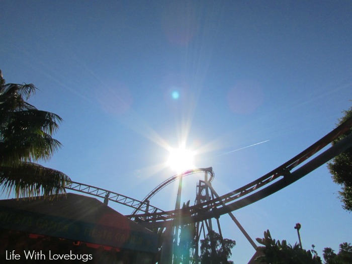 My Knott's Berry Farm Favorites