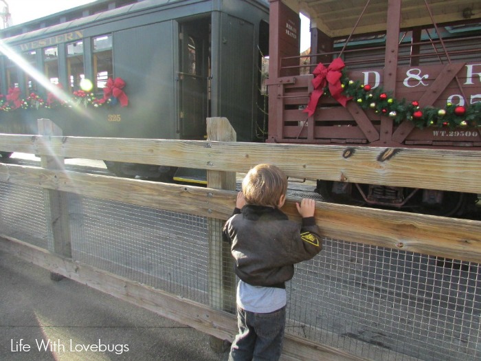 My Knott's Berry Farm Favorites 