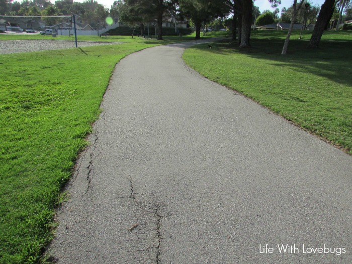 Walking 10,000 Steps A Day 