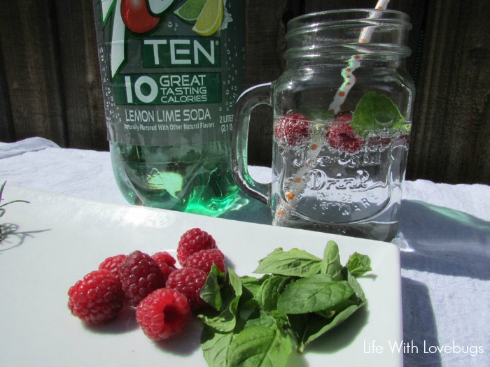 Low Calorie Fruit & Herb Drinks