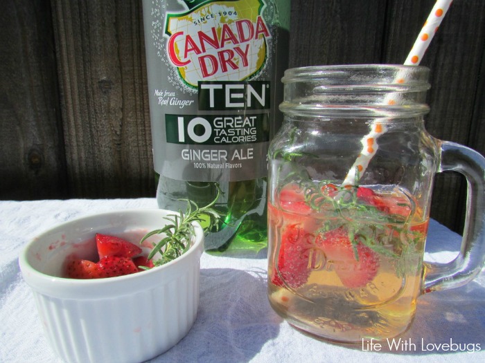 Low Calorie Fruit & Herb Drinks