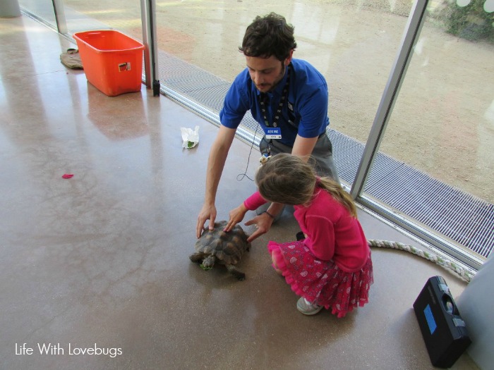 NHM of Los Angeles County: Nature Gardens and Nature Lab