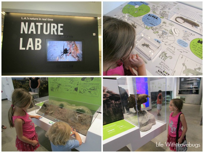 NHM of Los Angeles County: Nature Gardens and Nature Lab