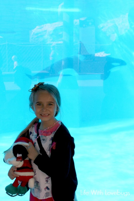 Sea World Christmas Celebration 2014