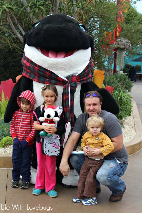 Sea World Christmas Celebration 2014