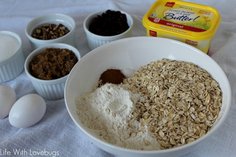 Cranberry Pecan Oatmeal Bars