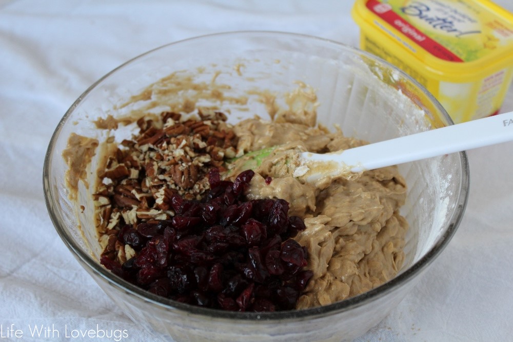 Cranberry Pecan Oatmeal Bars