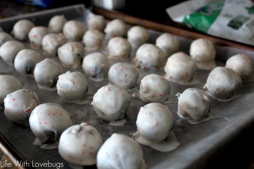 Chocolate Covered Cookie Balls