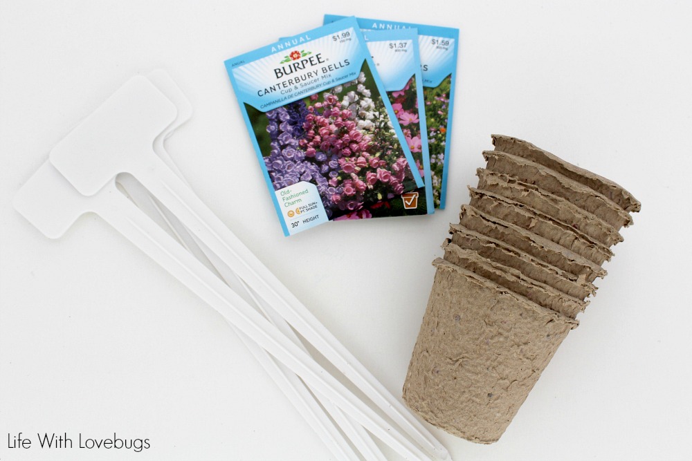 Beginner's Gardening Kit