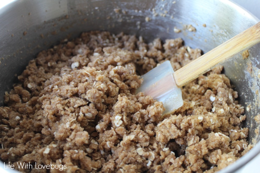 Oatmeal and Fruit Crumble Bars