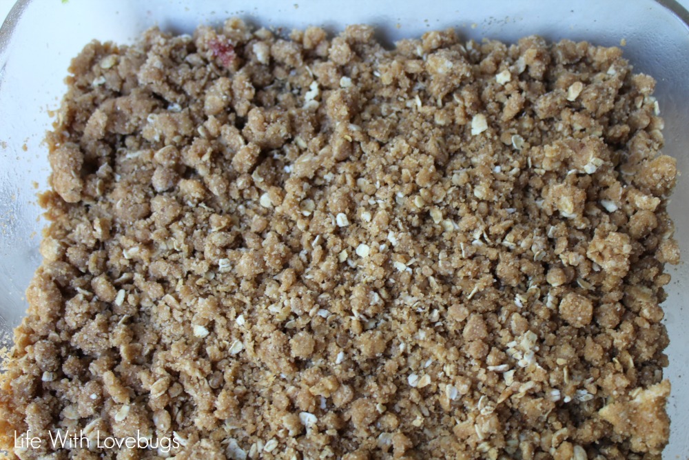 Oatmeal and Fruit Crumble Bars