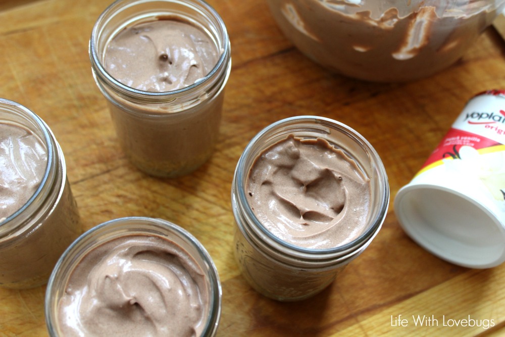 Chocolate Yogurt Mousse Cups 