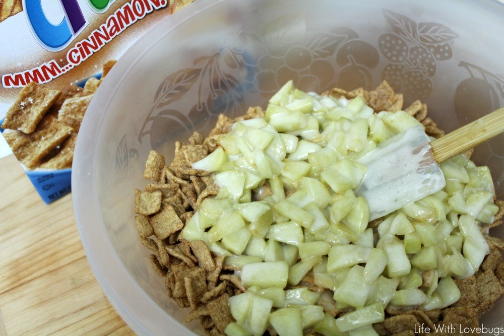 Crunchy Apple Cinnamon Clusters