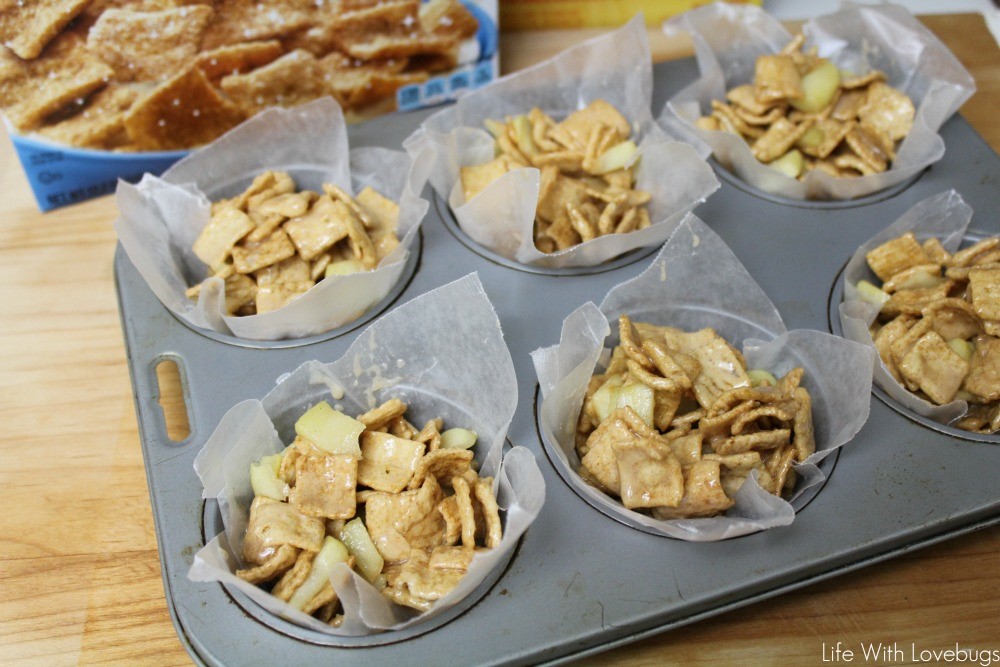 Crunchy Apple Cinnamon Clusters