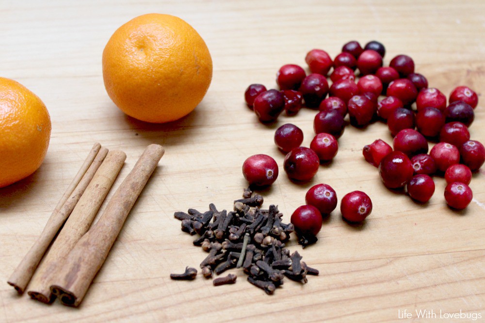 Stove Top Holiday Potpourri 