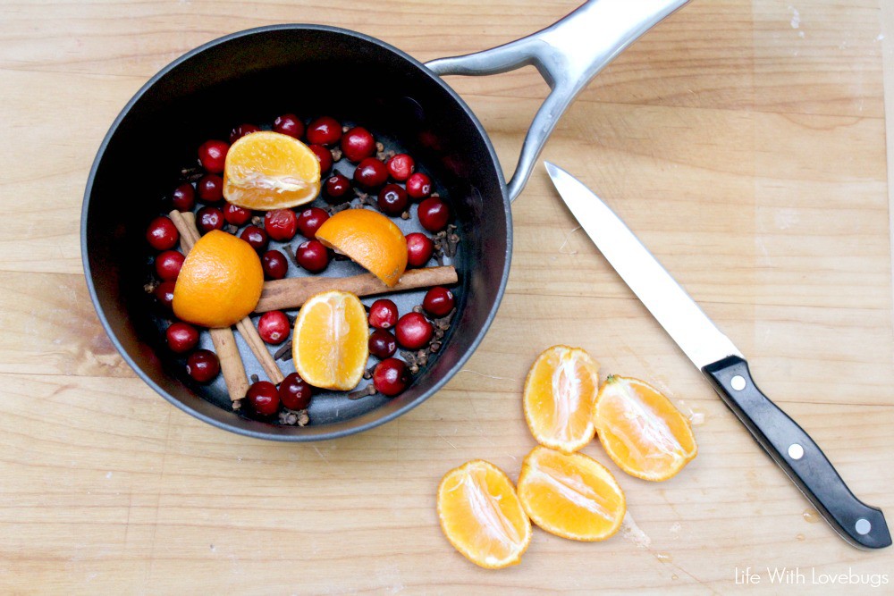 Stove Top Holiday Potpourri 