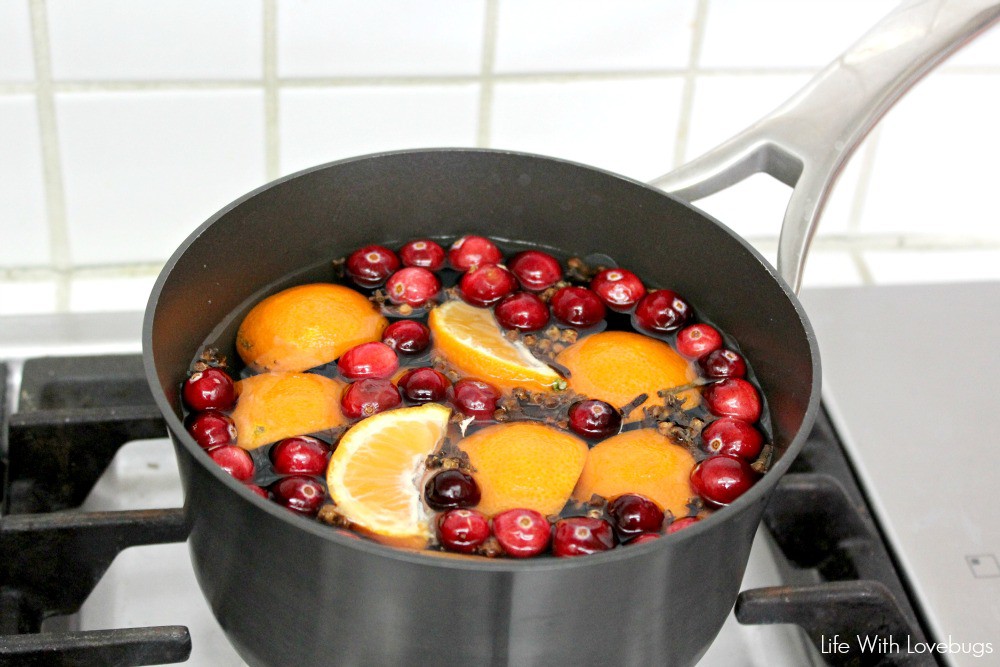 Stove Top Holiday Potpourri 