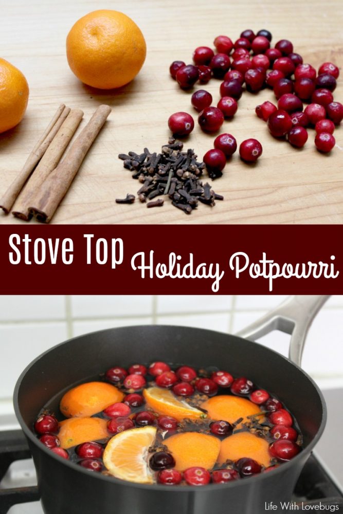 Stove Top Holiday Potpourri