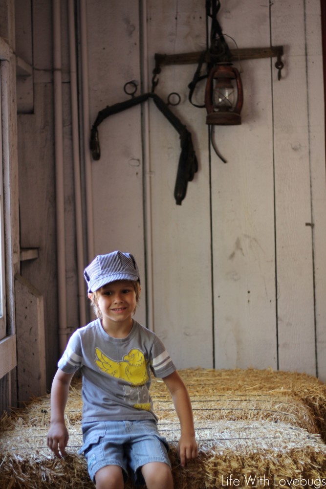 Knott's Berry Farm Ghost Town Live