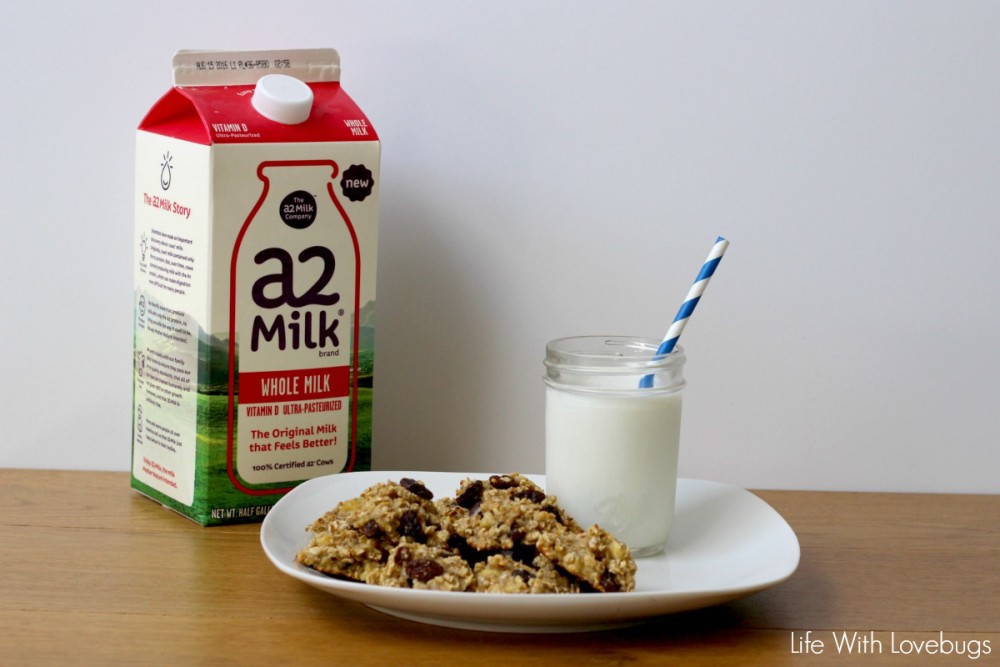 After School Milk and Cookies