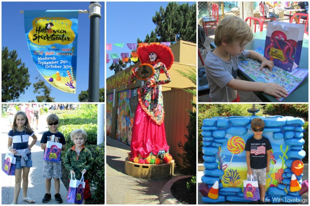 SeaWorld San Diego Halloween Spooktacular Life With Lovebugs