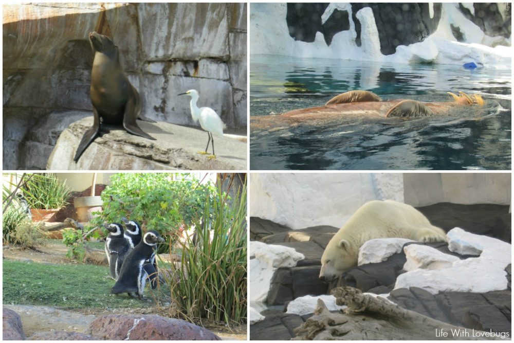 SeaWorld San Diego Halloween Spooktacular