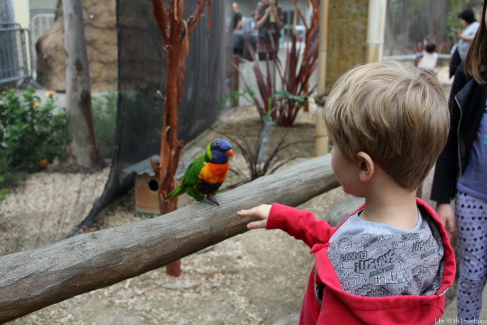 Holidays at The Aquarium of the Pacific