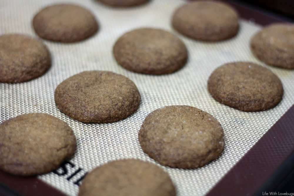 Soft Ginger and Molasses Cookies