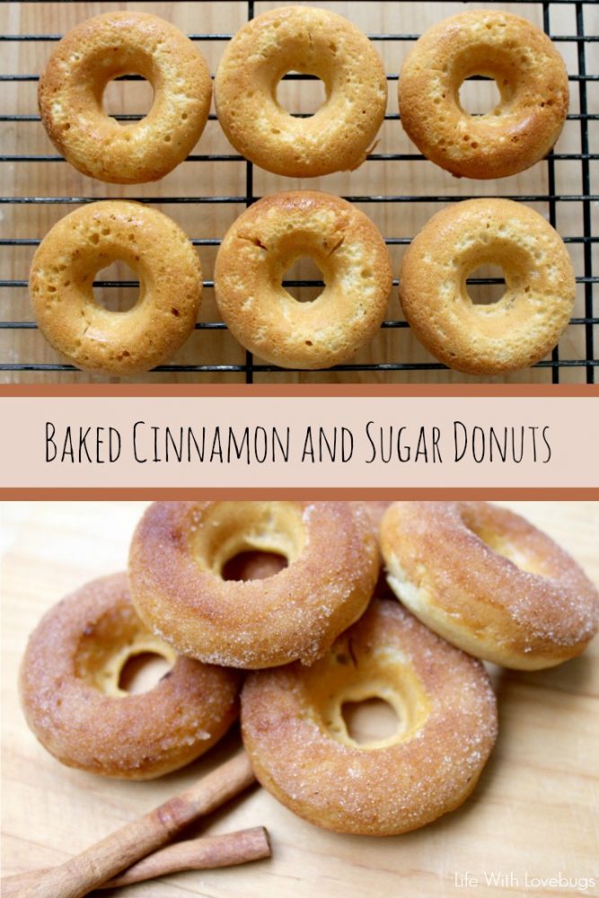 Baked Cinnamon and Sugar Donuts