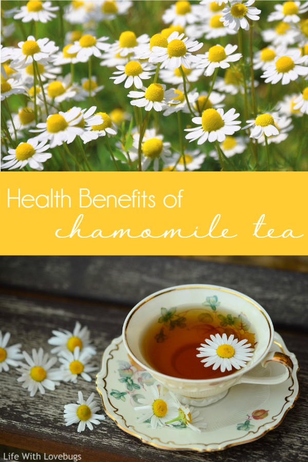 Health Benefits of Chamomile Tea