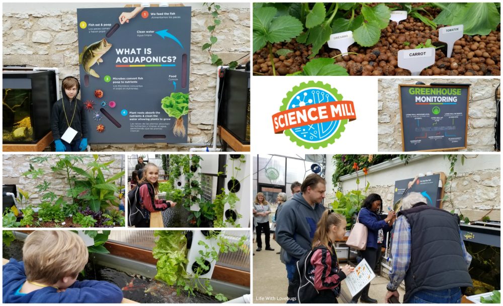 Science Mill Kids Museum, Johnson City TX - Aquaponics Greenhouse