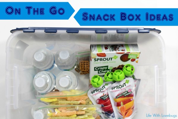 On The Go Snack Box Ideas