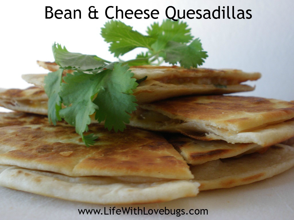 Bean and Cheese Quesadilla