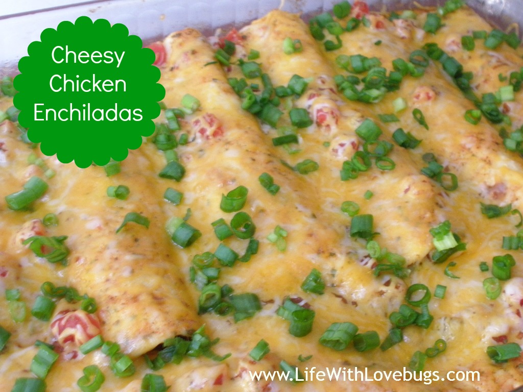 Cheesy Chicken Enchiladas