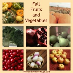 Fall Fruits & Veggies