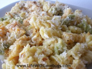 Macaroni and Cheese