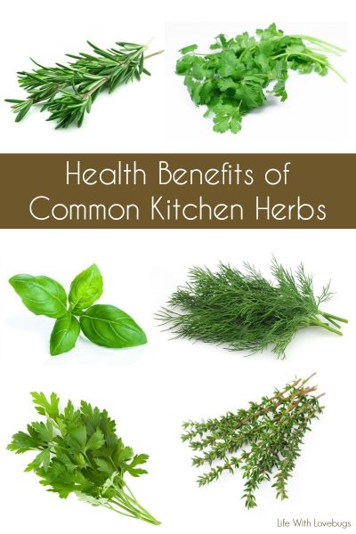 Health Benefits of Common Kitchen Herbs - Life With Lovebugs