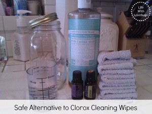 Safe Alternative to Clorox Cleaning Wipes