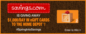 Home Depot $3000 Giveaway