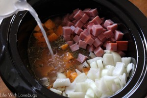 Slow Cooker Butternut Squash and Ham Soup #SlowCookerMeals