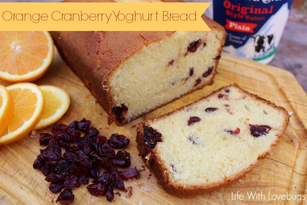 Orange Cranberry Yogurt Bread