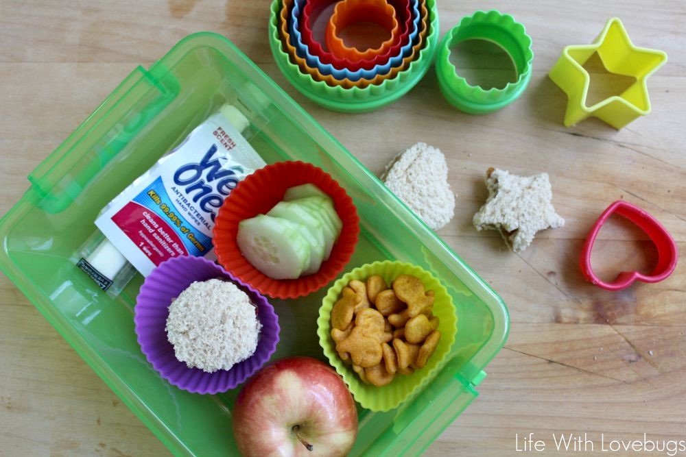 Back to School Lunch Ideas