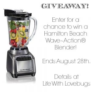 Hamilton Beach Wave Action Blender Giveaway