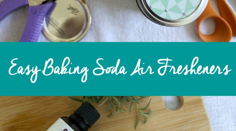 Easy All-Natural Baking Soda Air Fresheners for Your Home