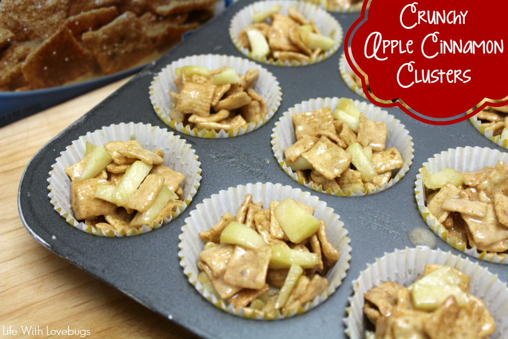 Crunchy Apple Cinnamon Clusters