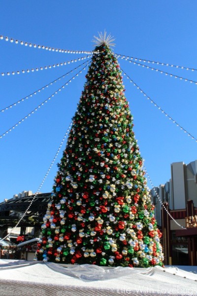 Olfa's Ice Skating Rink in Downtown Disney