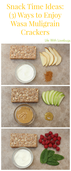 Snack Times Ideas: (3) Ways to Enjoy Wasa Multigrain Crackers