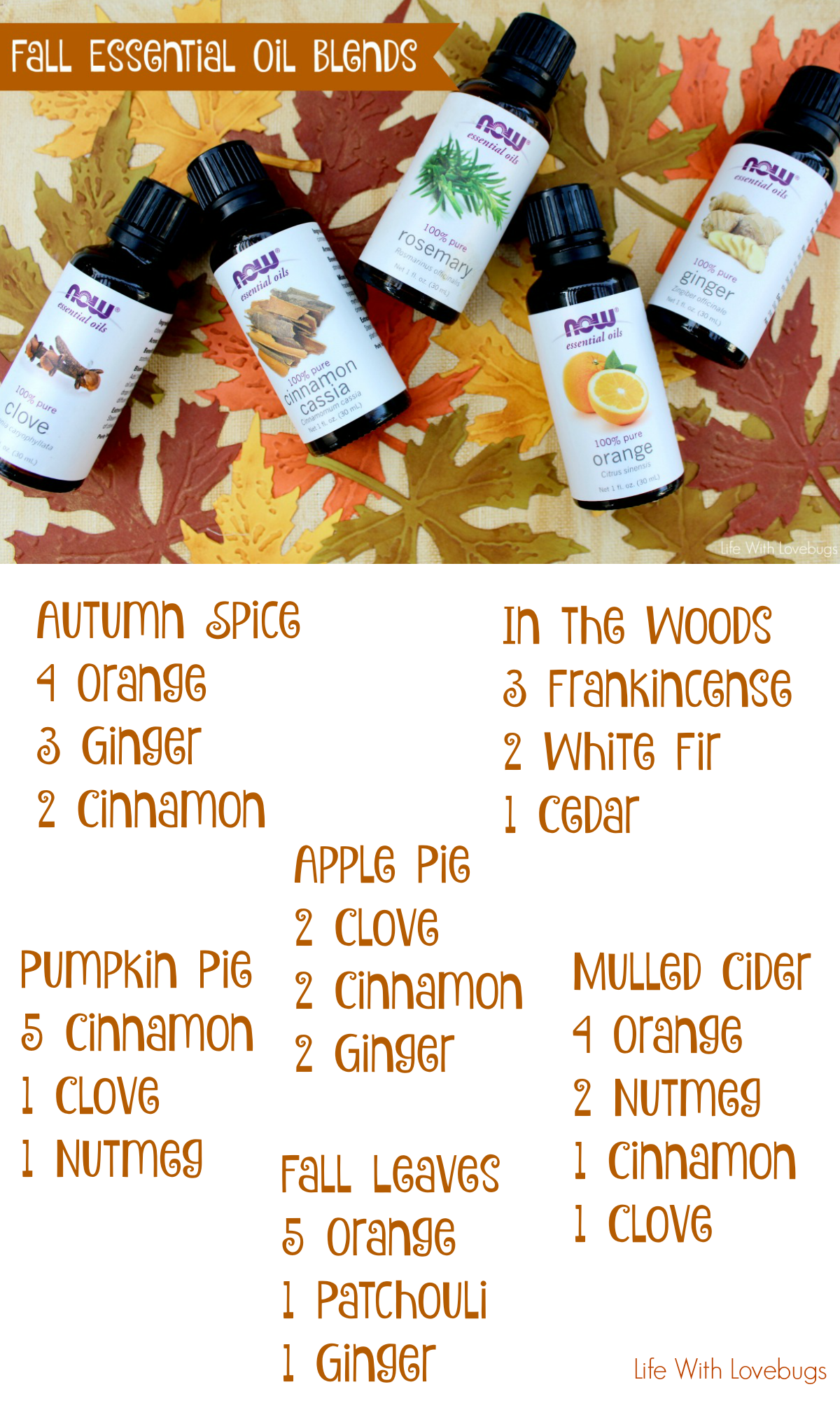 Fall Essential Oil Blends - Life With Lovebugs